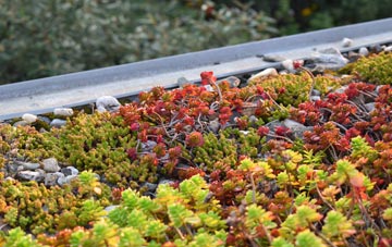 the cost of Cotland green roof installation